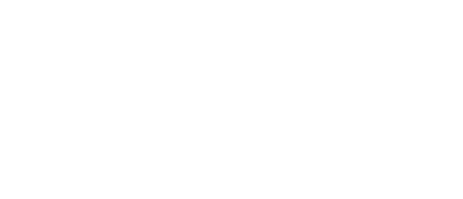 Logo Joaquin